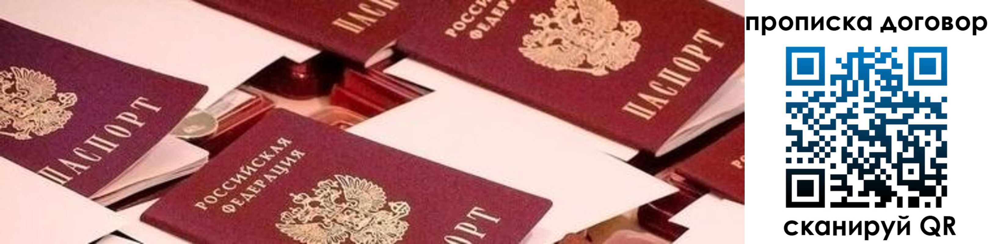 прописка для школы в Смоленской области